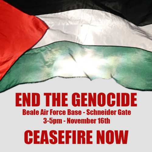 sm_beale_palestine_demo.jpg 