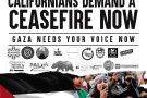 135_democratic_convention_californians_demand_ceasefire_sacramento_2023.jpg