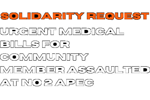 480_solidarity-no2apec.jpg