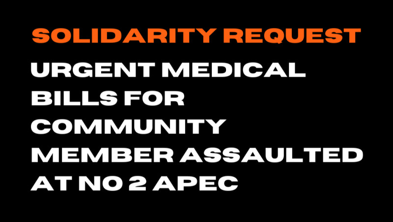 sm_solidarity-no2apec.jpg 