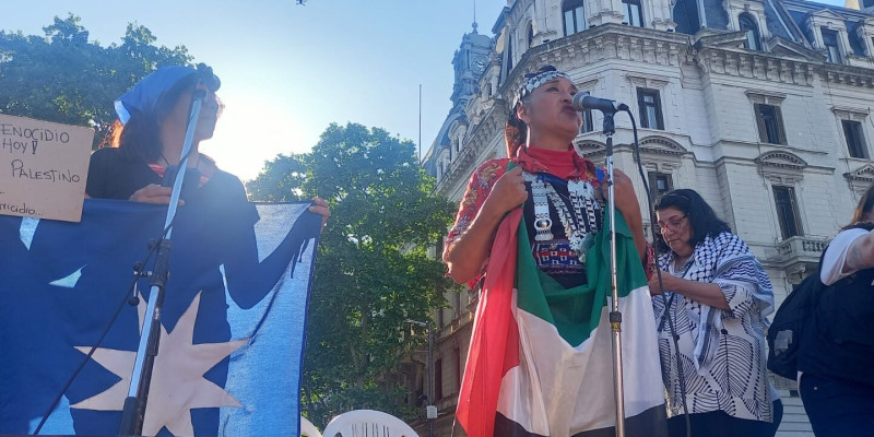 sm_____puelmapu_mujer_mapuche_muj_palestina.jpeg 