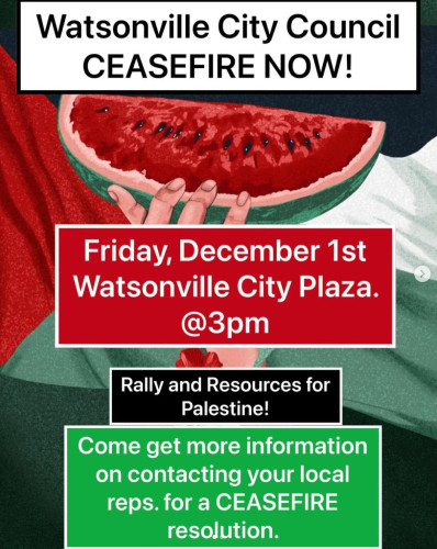 sm_watsonville-city-council-ceasefire-now.jpg 