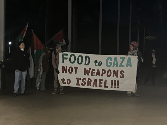 sm_food_to_gaza_not_weapons_to_israel.jpg 