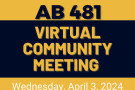Virtual Meeting