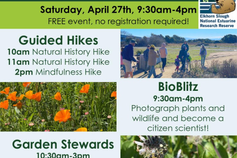 Saturday 4/27: Earth Day at the Elkhorn Slough Reserve