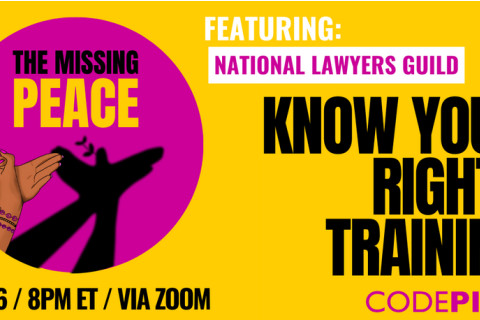 Monday 5/6: Know Your Rights Training w/ CodePink Palestine campaign &
National Lawyers Guild