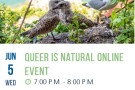 Online event: https://openspacetrust.org/event/queer-is-natural-online-event/