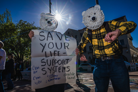 Activists in polar bear masks