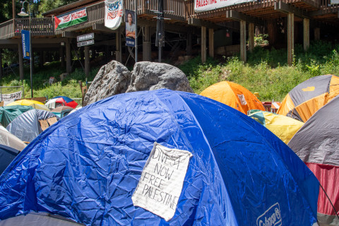 480_gaza_encampment_uc_santa_cruz_15.jpg