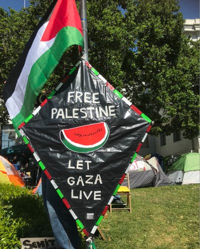 Free Palestine Kite