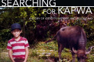Movie poster for "Searching with Kapwa" including a young boy and bull, the title of the event, and the date, time, and location.