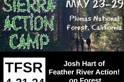 Flyer for Lost Sierra Forest-Climate Action Camp on May 23-29