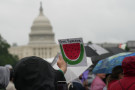 Palestinian activists and their supporters rallied at the National Mall on a wet and dreary day in observance of the 76th anniversary of ...