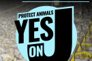 Image of logo that reads "Protect Animals Yes On J" with text that reads "Historic Factory Farm Ban on Ballot November 5th in Sonoma County"
