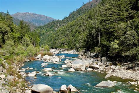 Biped wolf pack takes direct action against unprecedented logging project in Plumas National Forest on National Day of Forest-Climate Act...