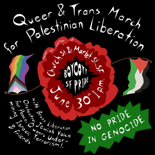 Square image, black background, white text, red poppy, Palestinian flag and Gay Trans flag