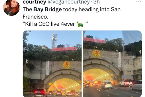 KILL A CEO
LIVE FOREVER