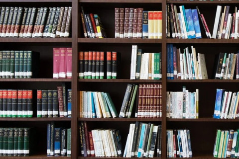 Popular shadow library LibGen continues to face trouble. In addition to ongoing technical problems, a U.S. lawsuit resulted in several do...