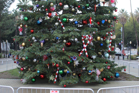 Photos of those killed by the IDF were displayed in front of the Capitol Christmas Tree. Photo by Dan Bacher.