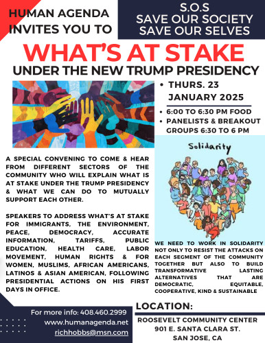 SOS: What's at Stake? flyer