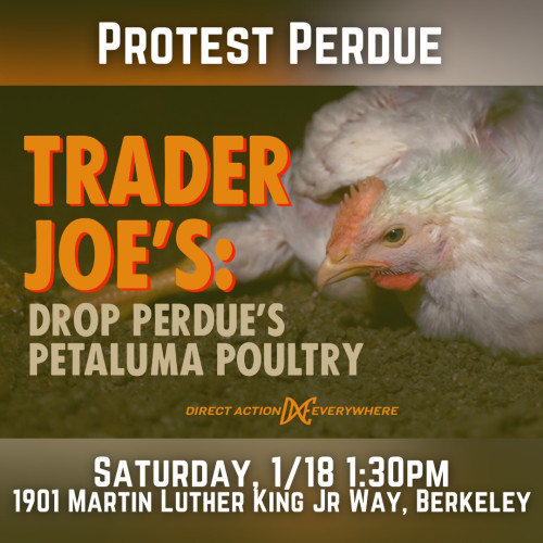 1901 Martin Luther King Jr Way, Berkeley, CA 94704