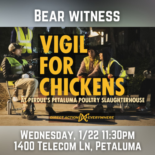 1400 Telecom Ln, Petaluma, CA