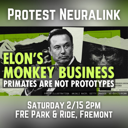 FRE Park & Ride, Fremont, CA 37.55223296876987, -122.06689040305288