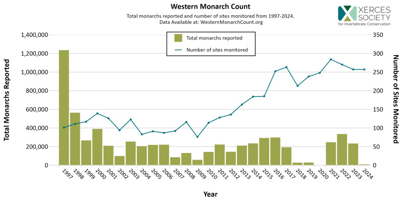 sm_2024-western_monarch_count.jpg