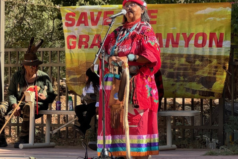 The Havasupai Tribe said the Navajo Nation has disregarded the aboriginal people who live on the land, and failed to consult them before ...
