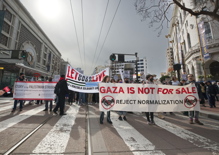 Protests against criminal Musk-Trump government are exploding