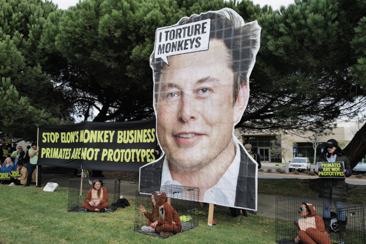 FREEMONT, CA (02-16) – Since its founding in 2016, Neuralink, a private for-profit company co-founded and owned in large part by Elon Mus...