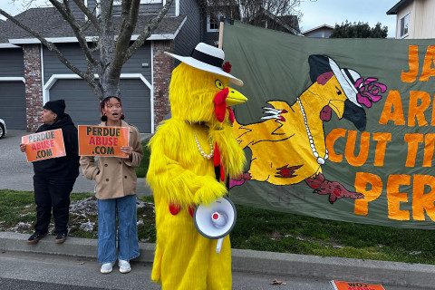 Protestors say Jason Arnold, Director of Operations for Perdue’s Petaluma Poultry slaughterhouse, refuses to address documented criminal ...