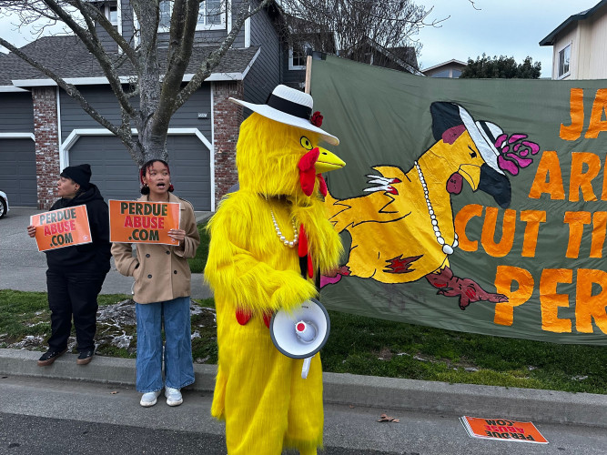 Protestors say Jason Arnold, Director of Operations for Perdue’s Petaluma Poultry slaughterhouse, refuses to address documented criminal ...