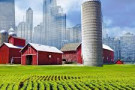 California Black Agriculture Working Group -Informational Symposium Series seeks to explain how seemingly difficult terrain can be naviga...