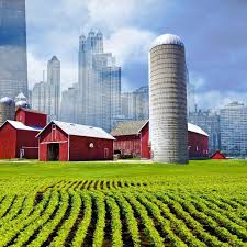 California Black Agriculture Working Group -Informational Symposium Series seeks to explain how seemingly difficult terrain can be naviga...