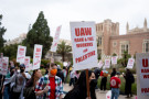 UAW 4811 UCLA Members Supporting Palestine