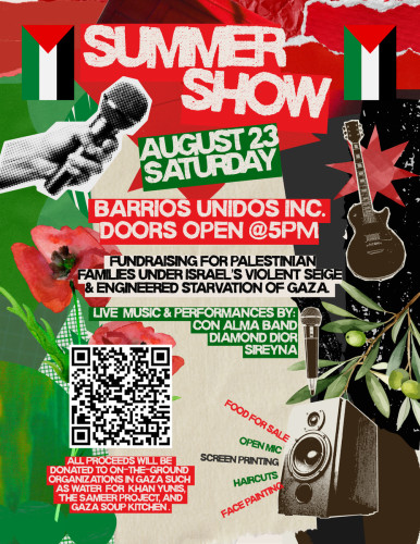 sm_summer-show-for-gaza.jpg