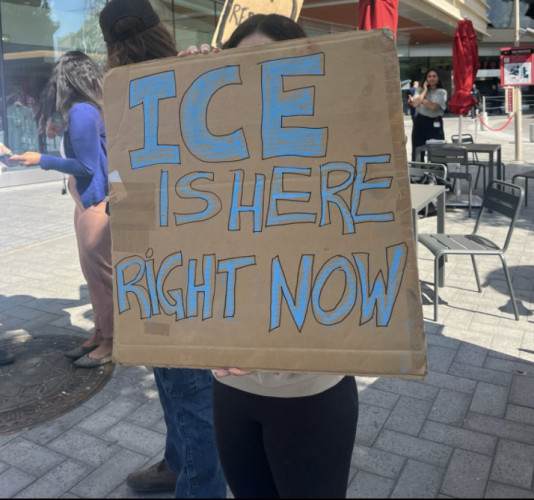ICE goons are masked and guarding hospital doors.