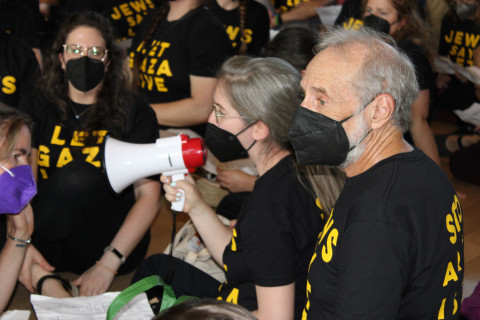 David Mandel, Jewish Voice for Peace