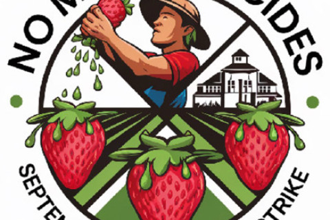480_no-mas-pesticides-september-2025-hunger-strike.jpg