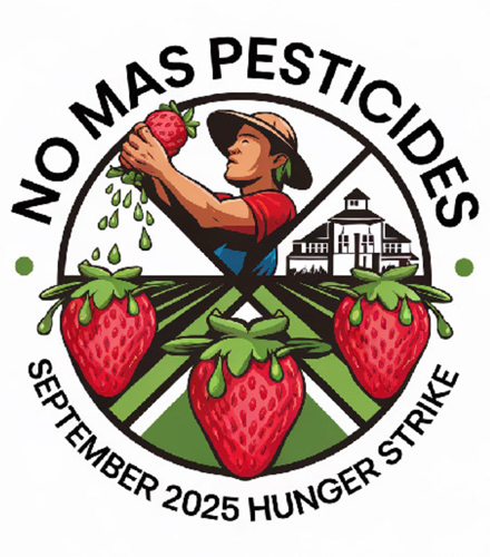 no-mas-pesticides-september-2025-hunger-strike.jpg