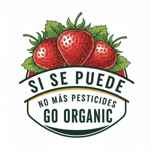 Sidewalk at 345 Westridge Drive, Watsonville