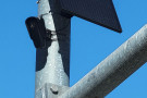photograph of flock camera and solar panel strapped to metal street pole