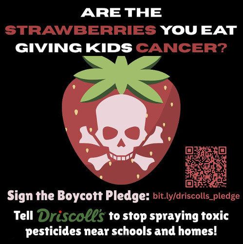 SIGN THE PLEDGE: https://bit.ly/driscolls_pledge