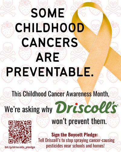 Flyer says, "Some Childhood Cancers Are Preventable."