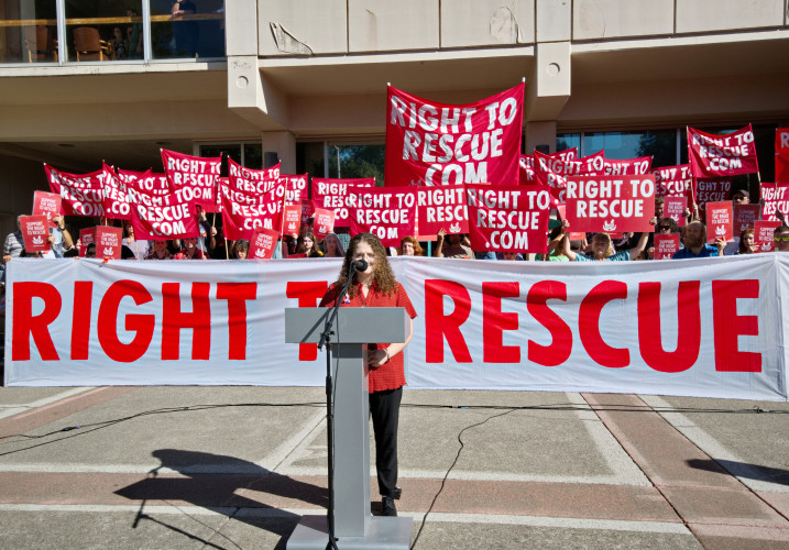 Zoe Rosenberg, 23, is charged with felony conspiracy and 3 misdemeanors for rescuing chickens from Perdue’s Petaluma Poultry slaughterhouse 