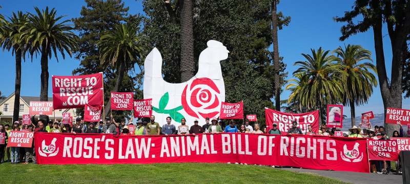 Felony defendant Zoe Rosenberg spoke before the march about the right to rescue animals from abuse.  <br /><br />Activists rally in suppo...
