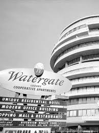 If not for the 1st Amendment and a free press, Nixon's resignation may have never occurred.