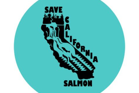 Undamning the Eel river public comment period untill Nov. 3rd.  Opportunity to free an awesome river! 