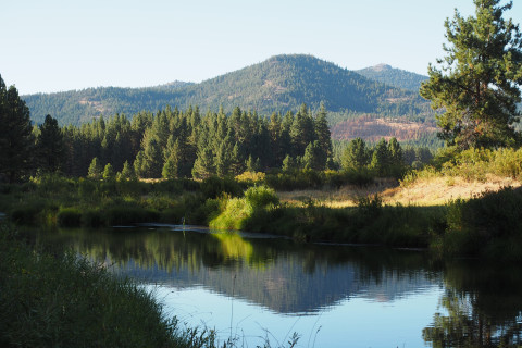 Gooseneck section of Feather River near Portola
